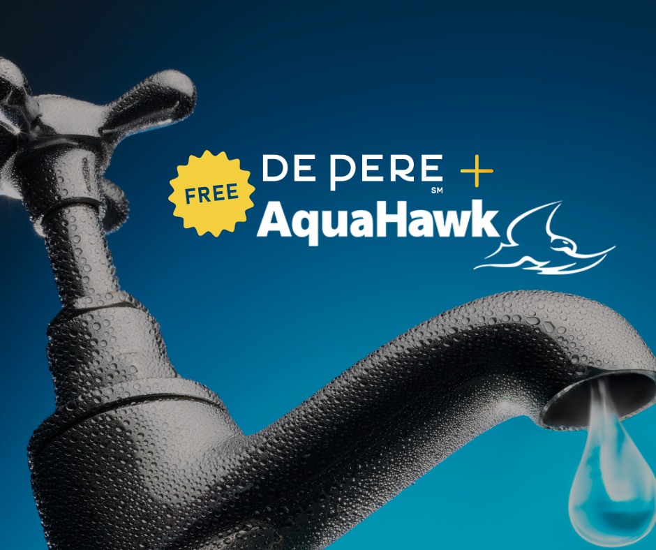 Water / De Pere, Wisconsin