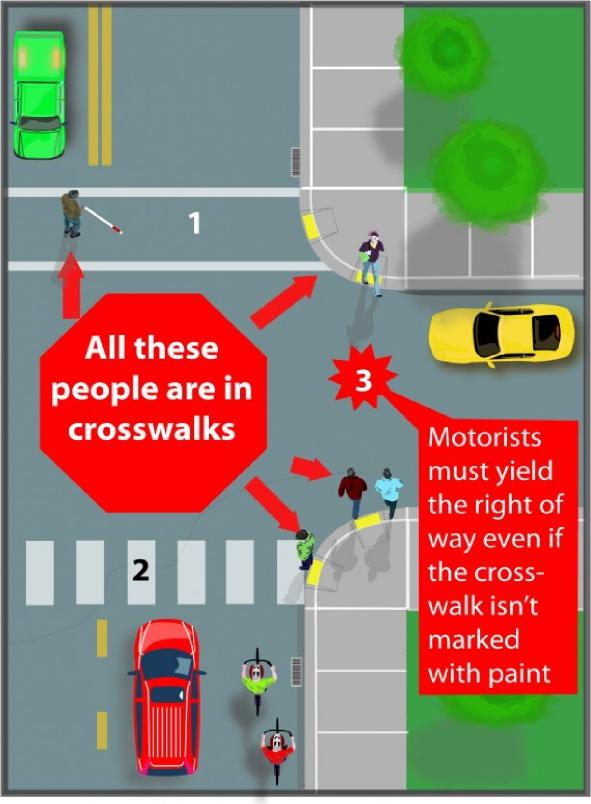 Crosswalk Safety Graphic