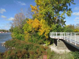 Raised Riverwalk Deck