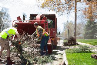 De Pere brush collection 