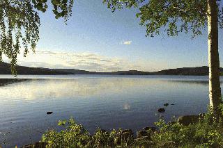 amal sister city (3)