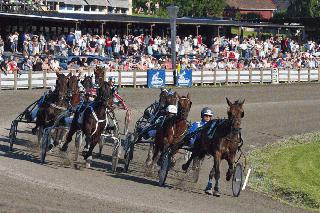 amal sister city (4)