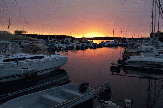 amal sister city (9)