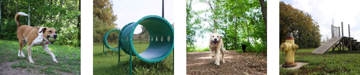 dog park banner