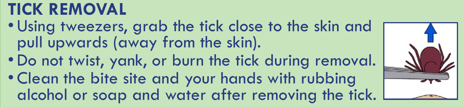 tick removal